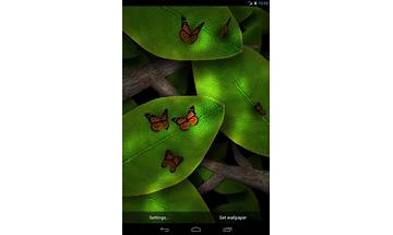Tap Leaves Free Live Wallpaper for Android - Download the APK from Habererciyes